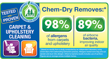 Upholstery Cleaning Services by Chem-Dry of Tampa