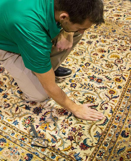 Professional Area and Oriental Rug Cleaning by Chem-Dry of Tampa in Tampa