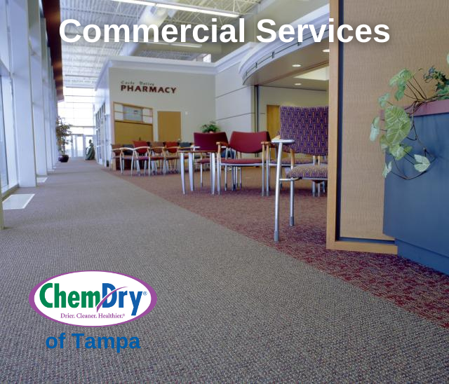 Chem-Dry of Tampa Professional Commercial Cleaning Services in Tampa
