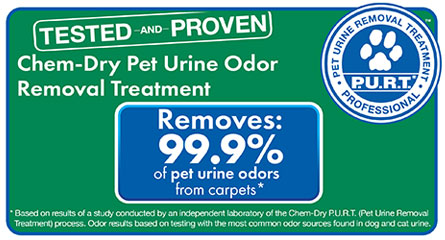 Professional Pet Urine and Odor Removal Treatment by Chem-Dry of Tampa